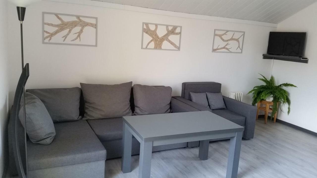 Domek Pod Brzozami Świnna Esterno foto